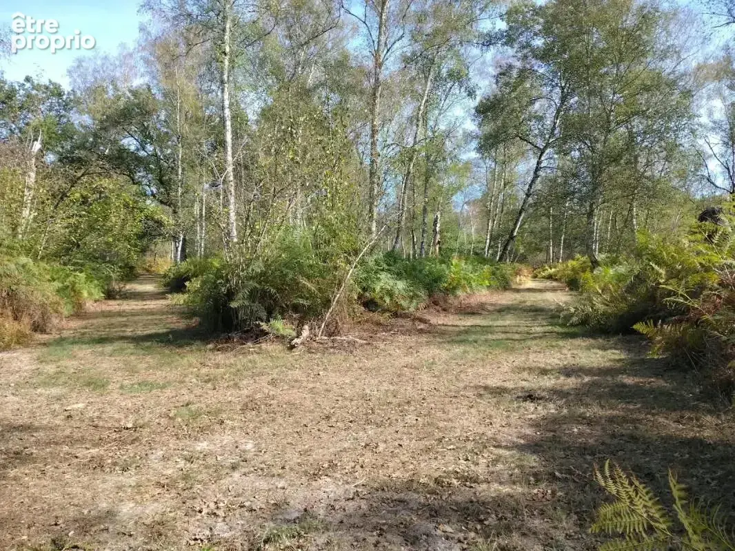 Terrain à LA FERTE-SAINT-AUBIN