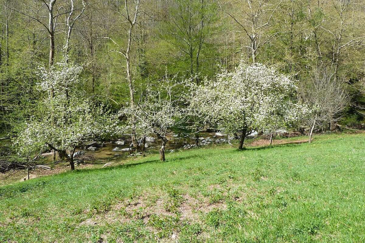 Maison à SAINT-LAURENT-DE-CERDANS