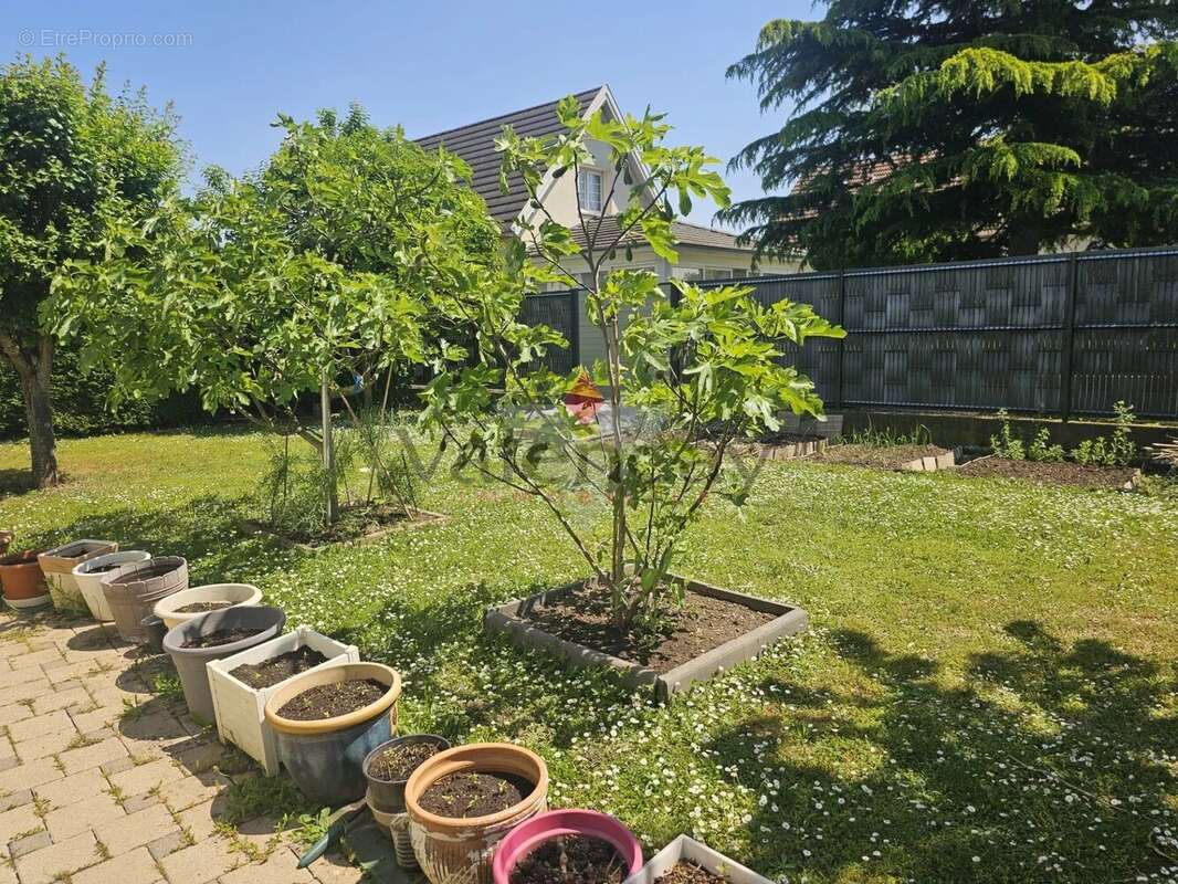 Maison à KINGERSHEIM