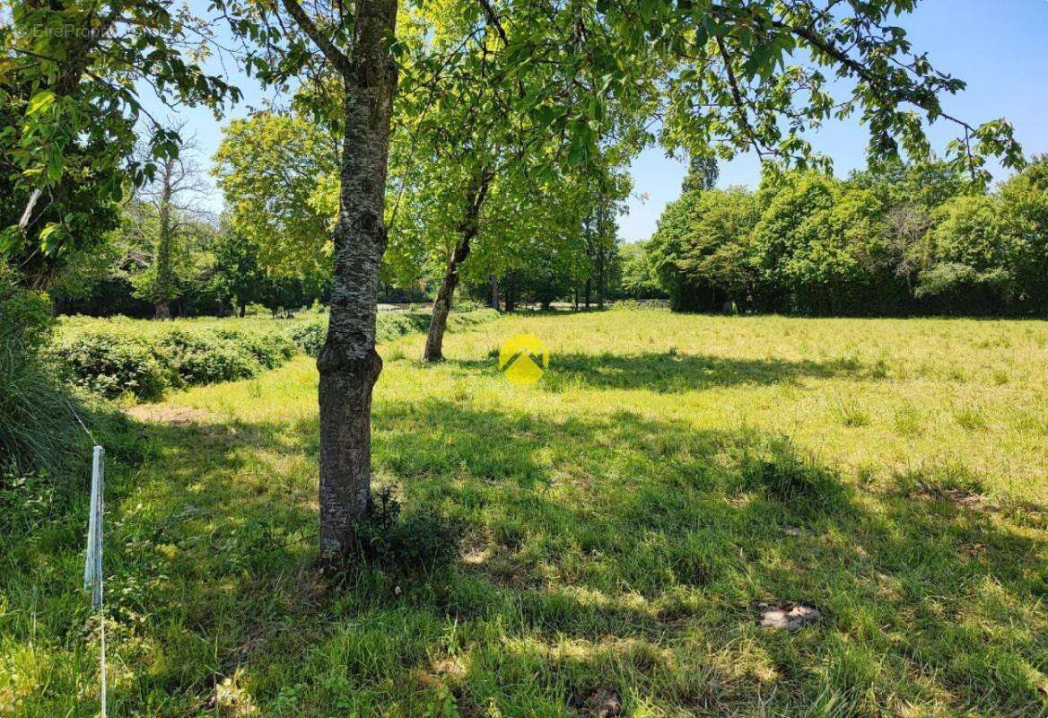 Maison à SAINT-PLANTAIRE