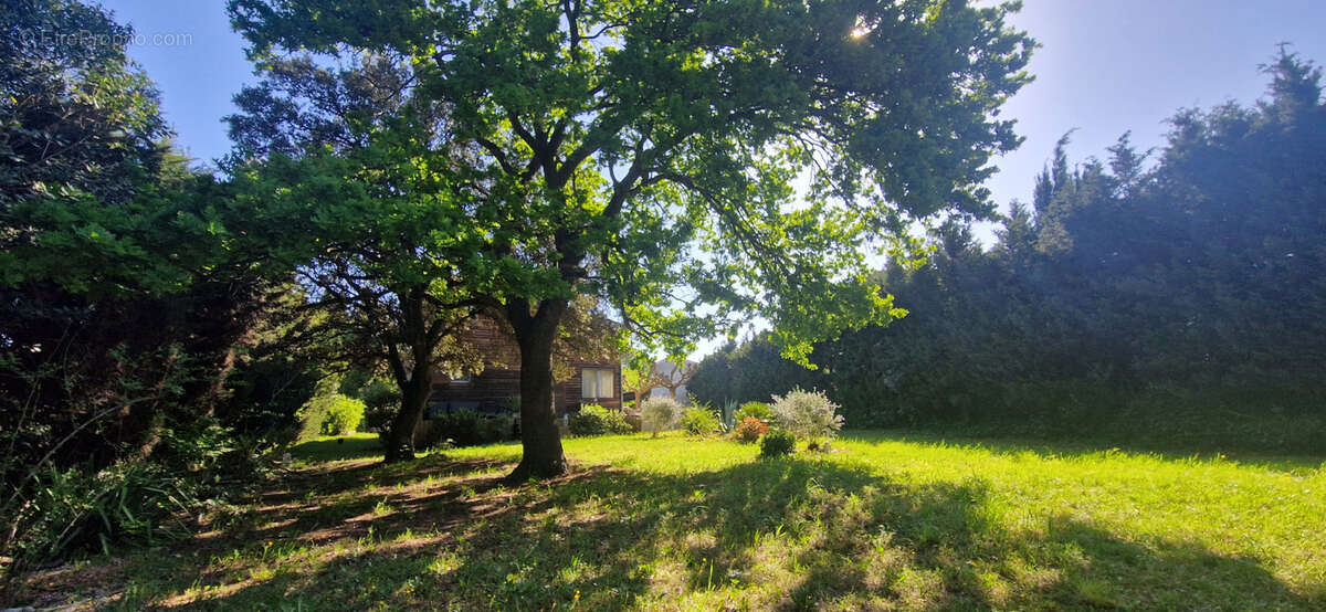 Maison à BOLLENE