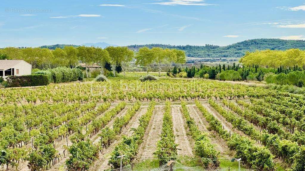 Maison à POUZOLS-MINERVOIS