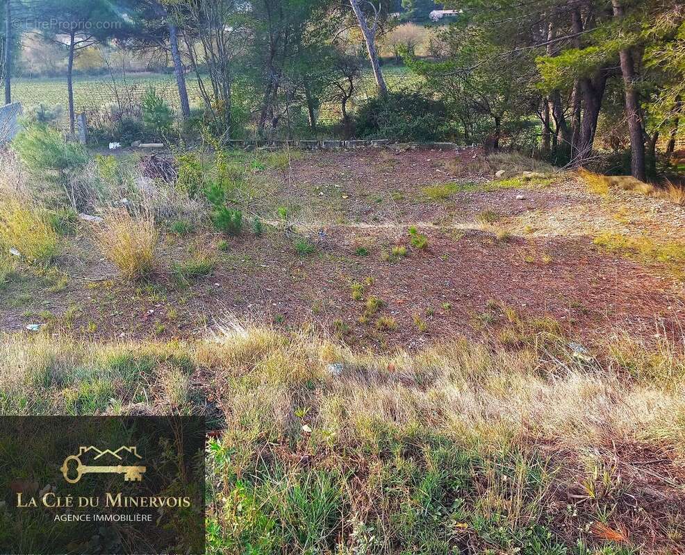 Photo 2 - Terrain à RIEUX-MINERVOIS