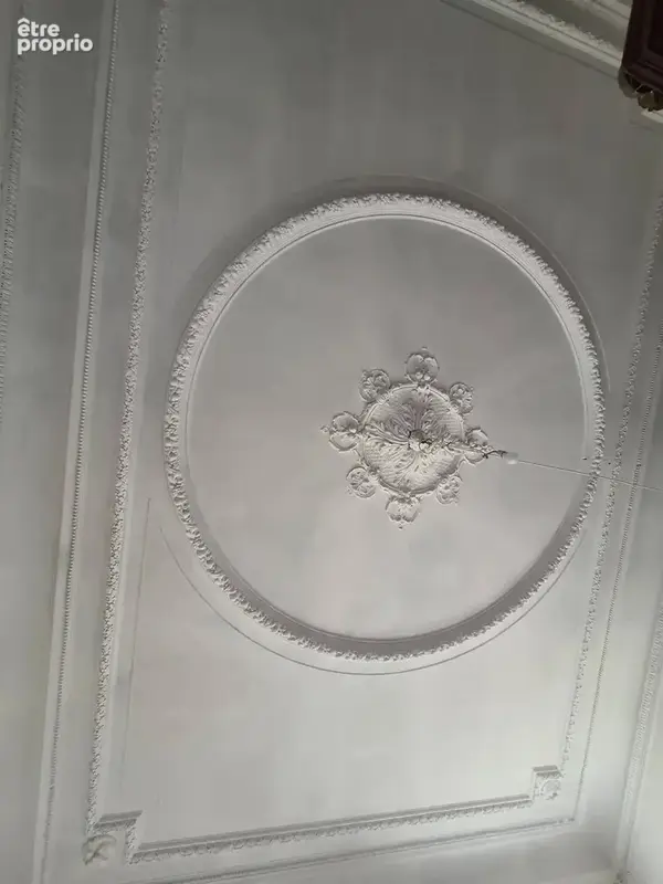 Maison de maître avec jardin - photo 26