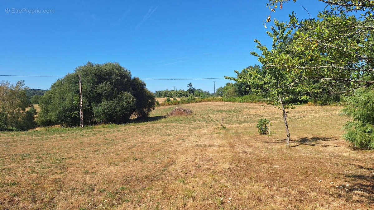 Plain-pied de 2011 - photo 3