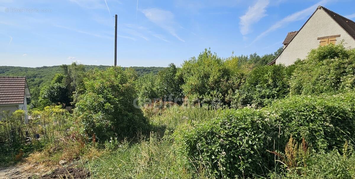 Terrain à VILLECONIN