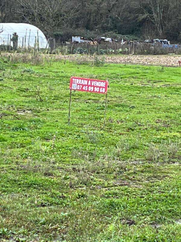 Terrain à SAINT-CHRISTOPHE-EN-BRESSE