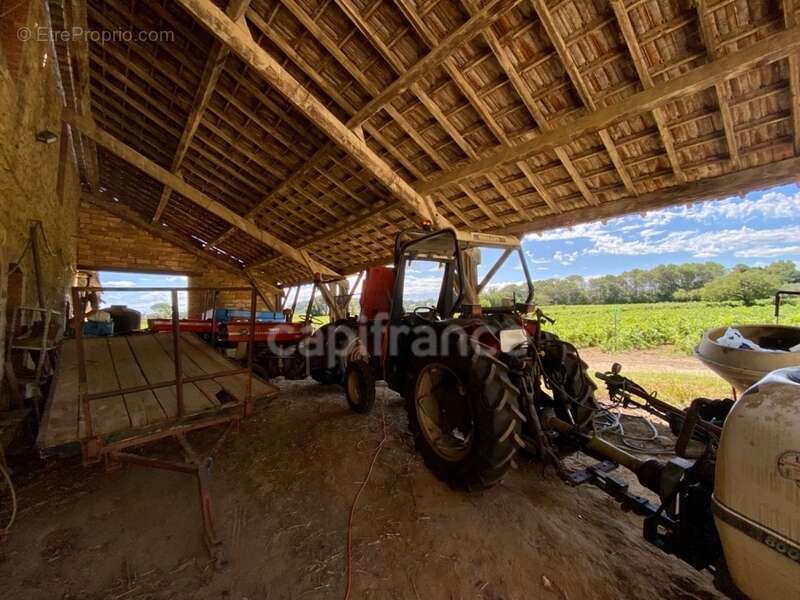 Dpt Gard (30), Domaine viticole de 16 hectares avec Chai et ancienne ferme indépendante - photo 5
