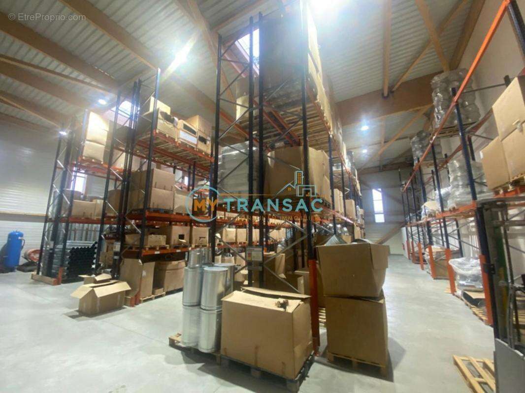 Commerce à SERRIS