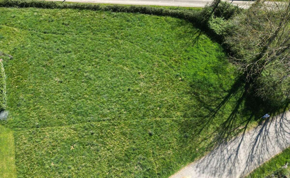 Photo 4 - Terrain à FRANQUEVIELLE