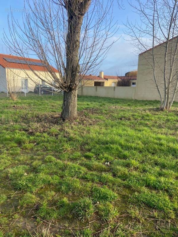 Terrain à LA PLAINE-SUR-MER