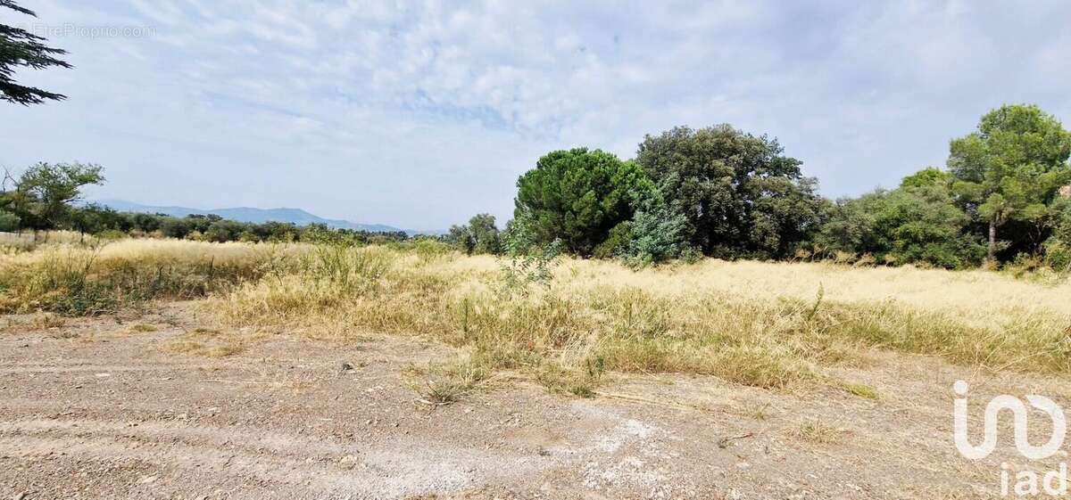Photo 8 - Terrain à CASTELNOU