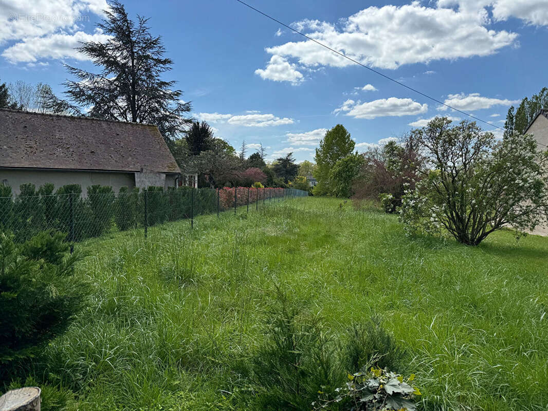 Terrain à MAGNANVILLE