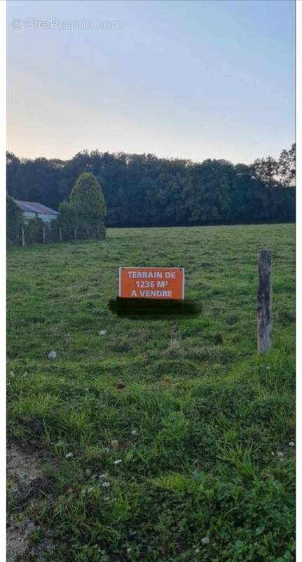 Terrain à LA LOGE-AUX-CHEVRES