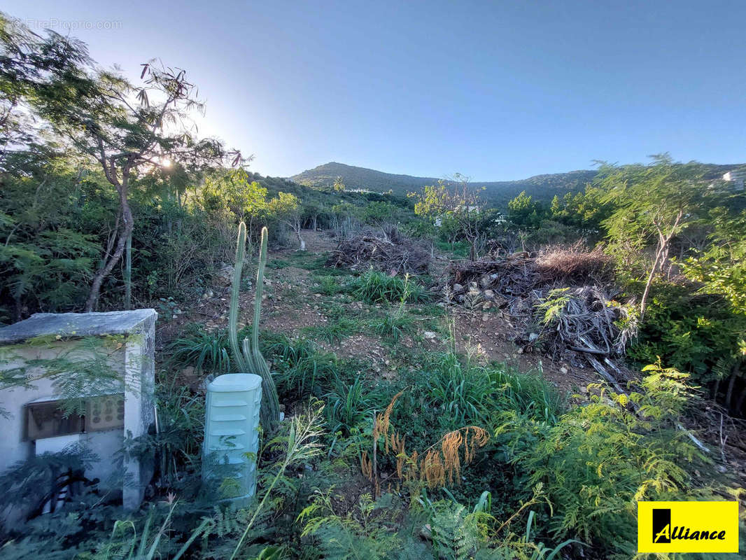 Terrain à SAINT-MARTIN