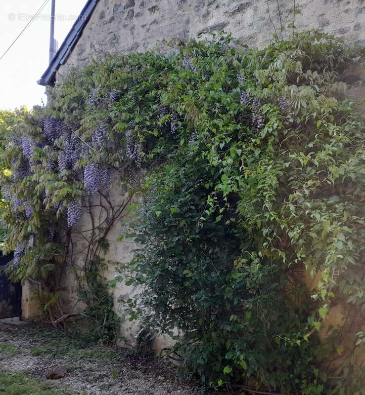 Maison à BOUERE