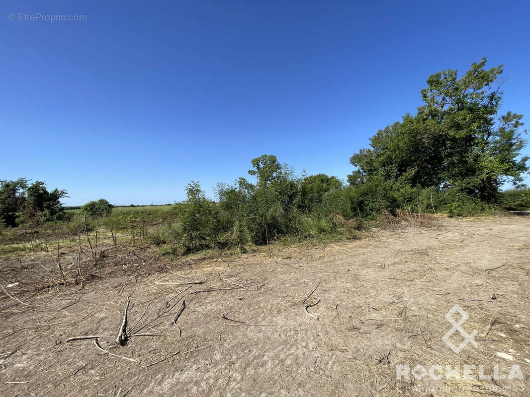 Terrain à SAINT-CREPIN