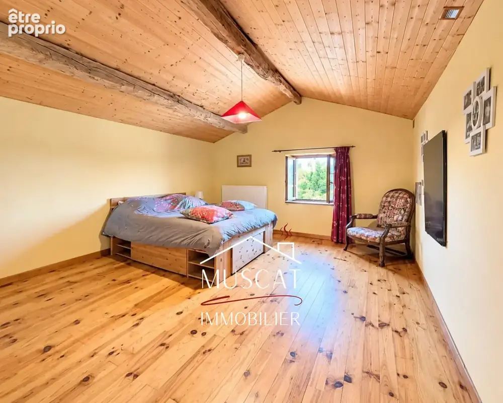 MEYSSIEZ - Maison individuelle - 3 chambres - garage double - piscine - terrasses - jardin - photo 8