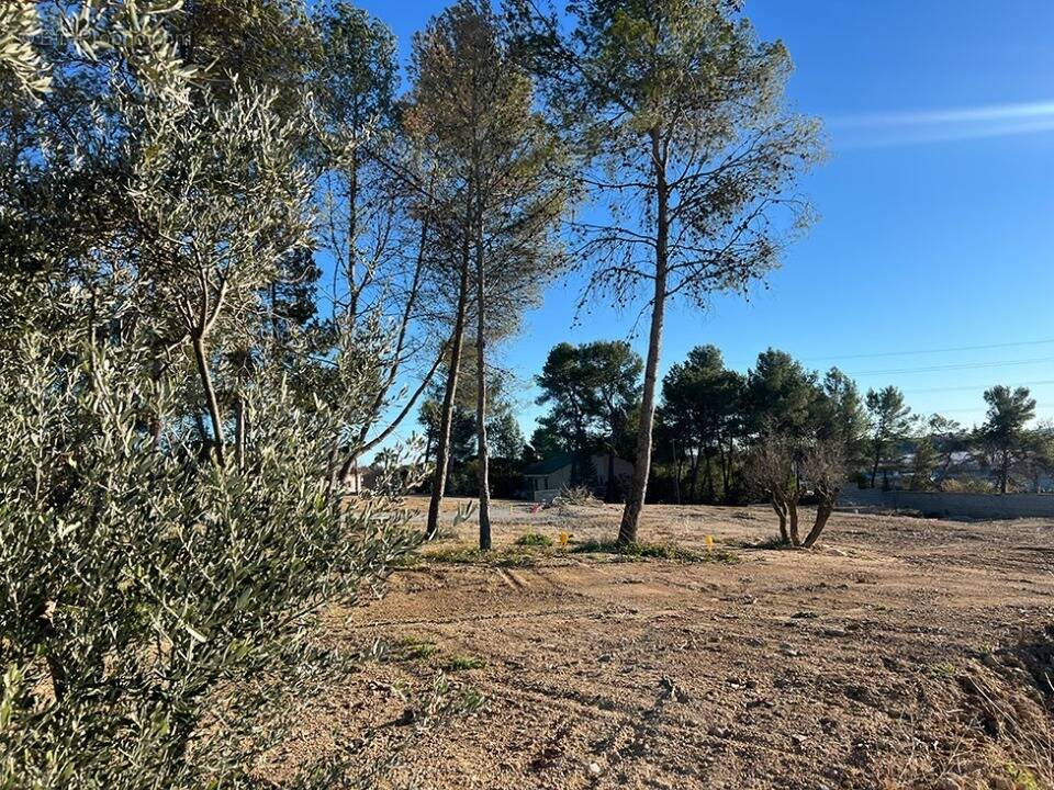 Terrain à SAINT-CLEMENT-DE-RIVIERE