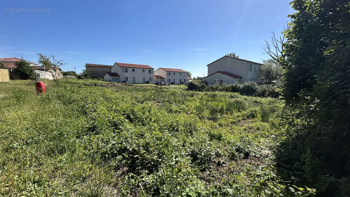 Terrain à LEZOUX