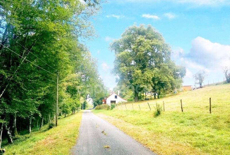 Maison à NEUVY-LE-BARROIS
