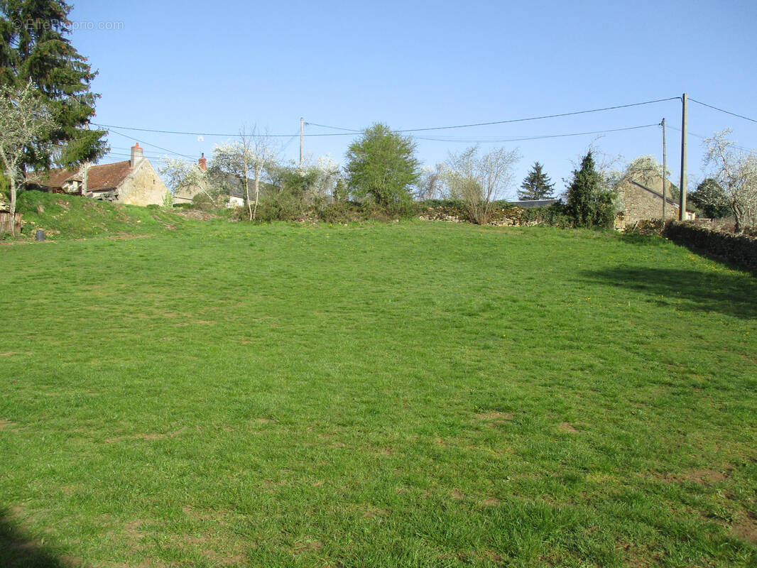 Terrain à LURCY-LE-BOURG