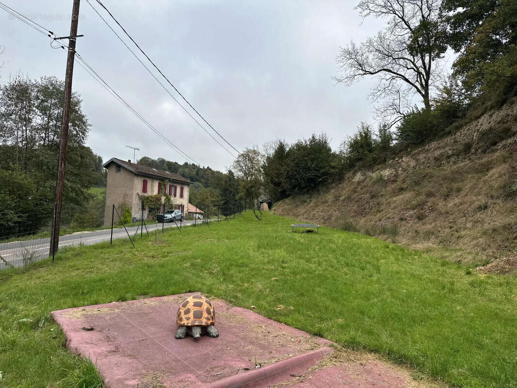 IMG_1159 - Maison à XERTIGNY