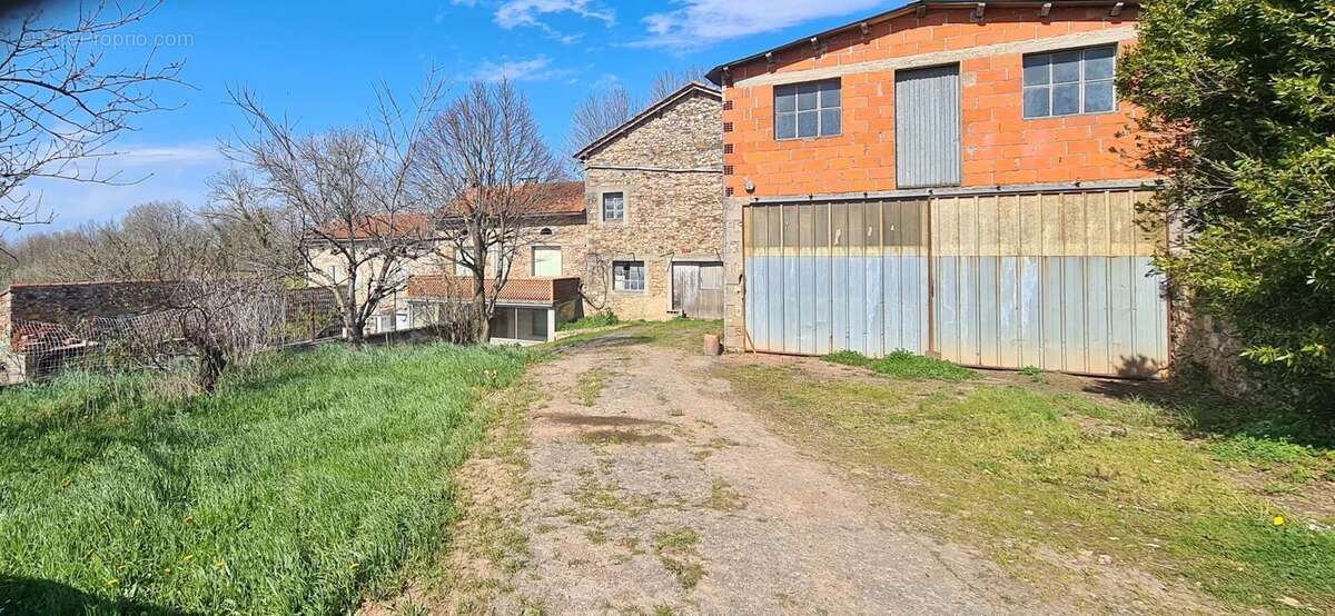 Maison à MONTREDON-LABESSONNIE