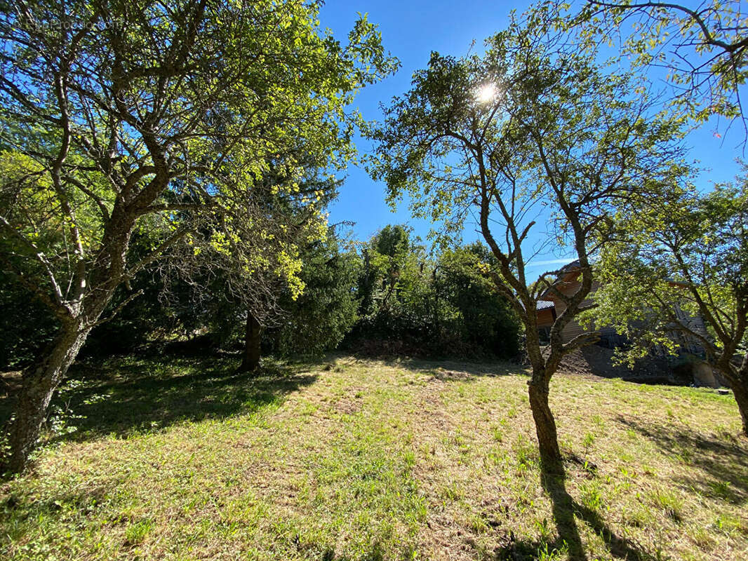 Terrain à SAINT-NIZIER-DU-MOUCHEROTTE