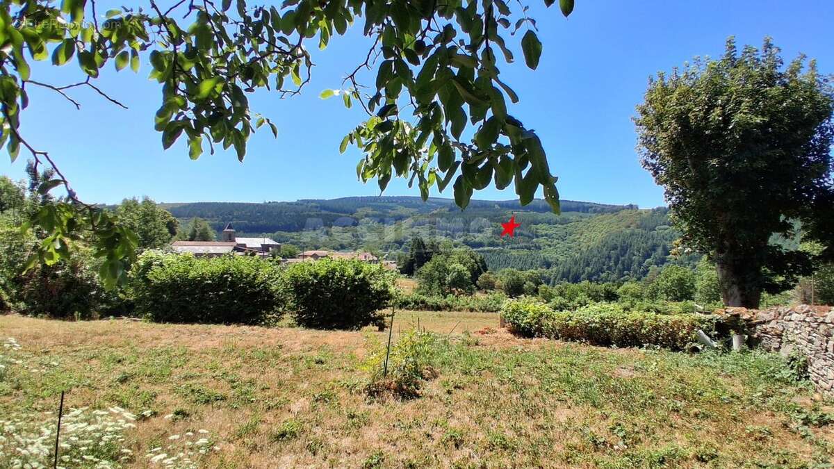 Castres - maison avec jardin - photo 7