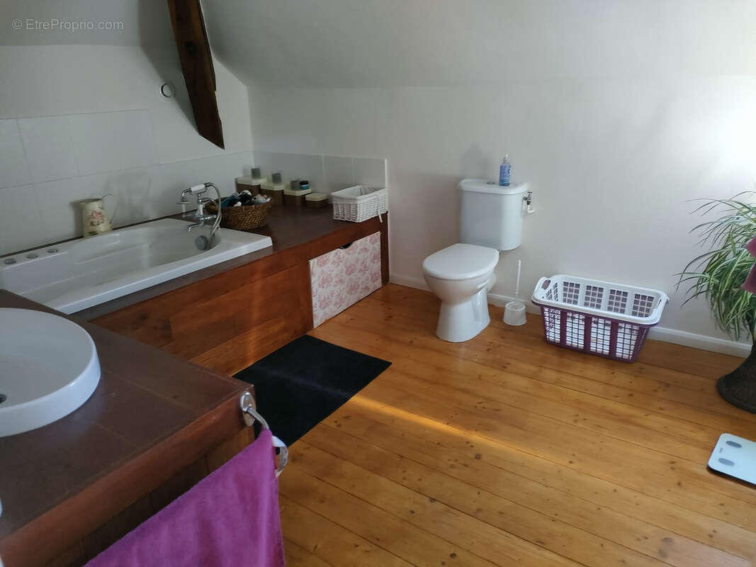 Commerce à CHAMPSAC