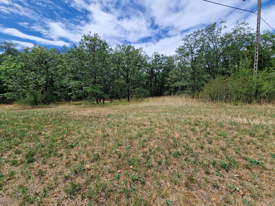 Nadaillac Terrain constructible de 1.2 Hectare - photo 2
