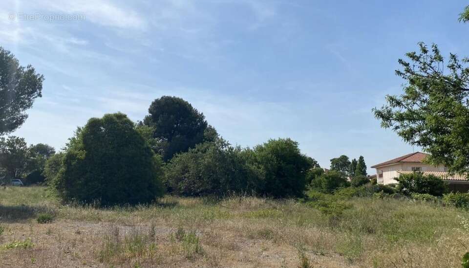 Terrain à EMBRES-ET-CASTELMAURE