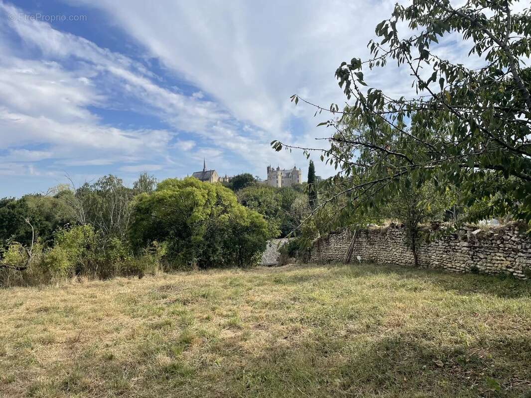 Terrain a batir montreuil-bellay avec superbe vue - photo 4
