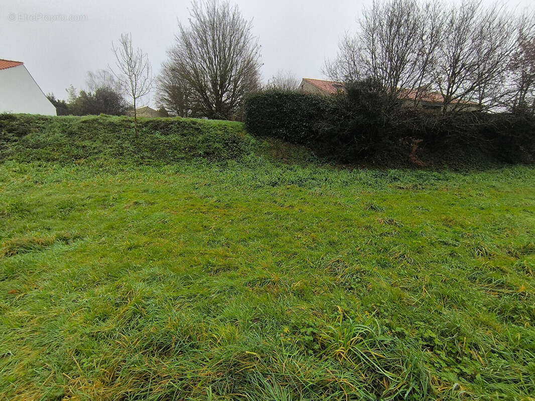 Terrain à COMMEQUIERS