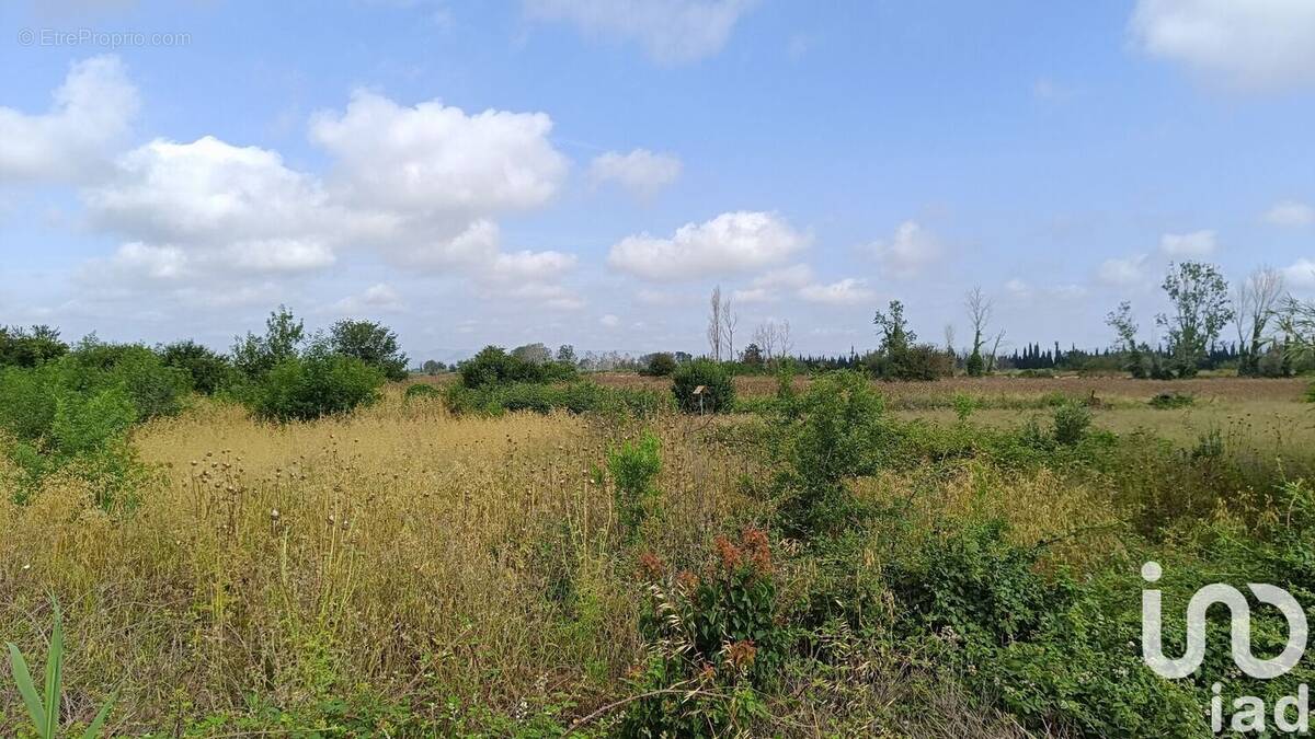 Photo 1 - Terrain à CLAIRA