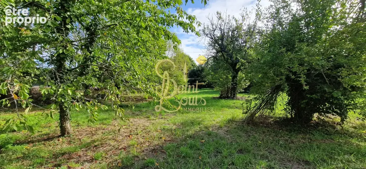 Ancien corps de ferme  avec 7000 m2 de parc et prairie sur les bords de vienne - photo 16