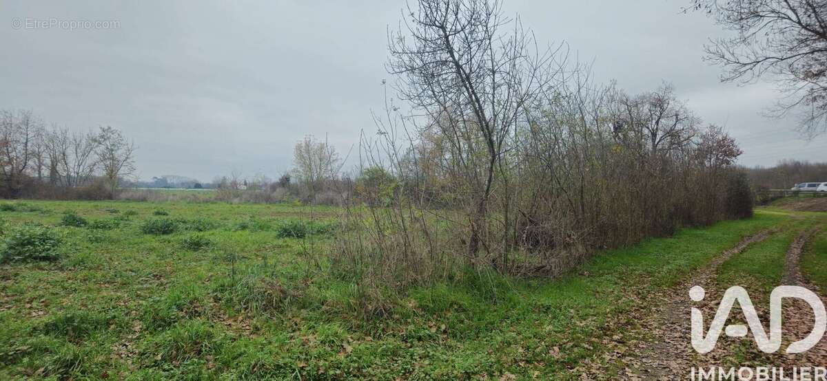 Photo 5 - Terrain à MURET