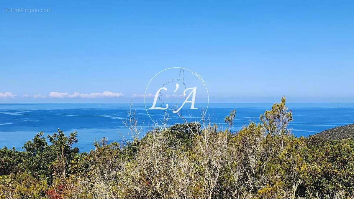 Terrain loisirs 6 679 m² vue mer Ajaccio Castagna Capo di Muro (Se Loger) - photo 9