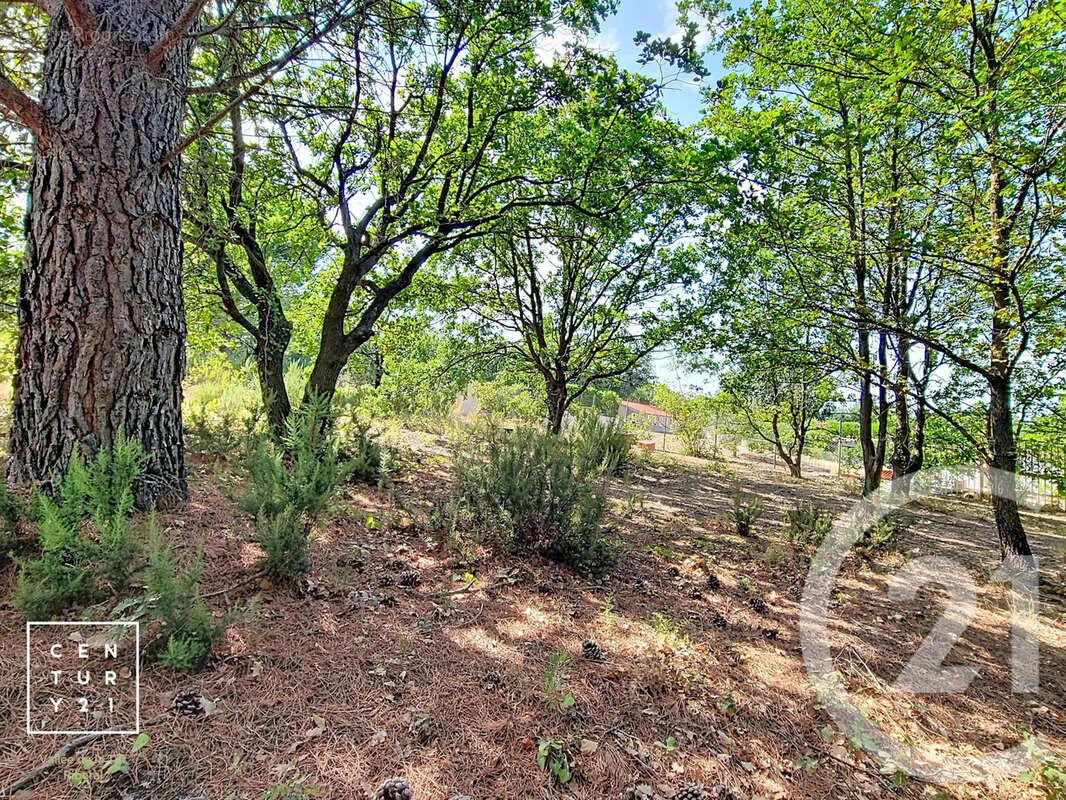 Terrain 5055 m² à Toulouges  - photo 5