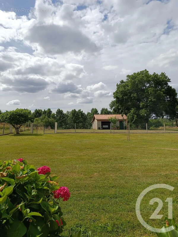 Maison 129 m² à Les Eglisottes-Et-Chalaures  - photo 14