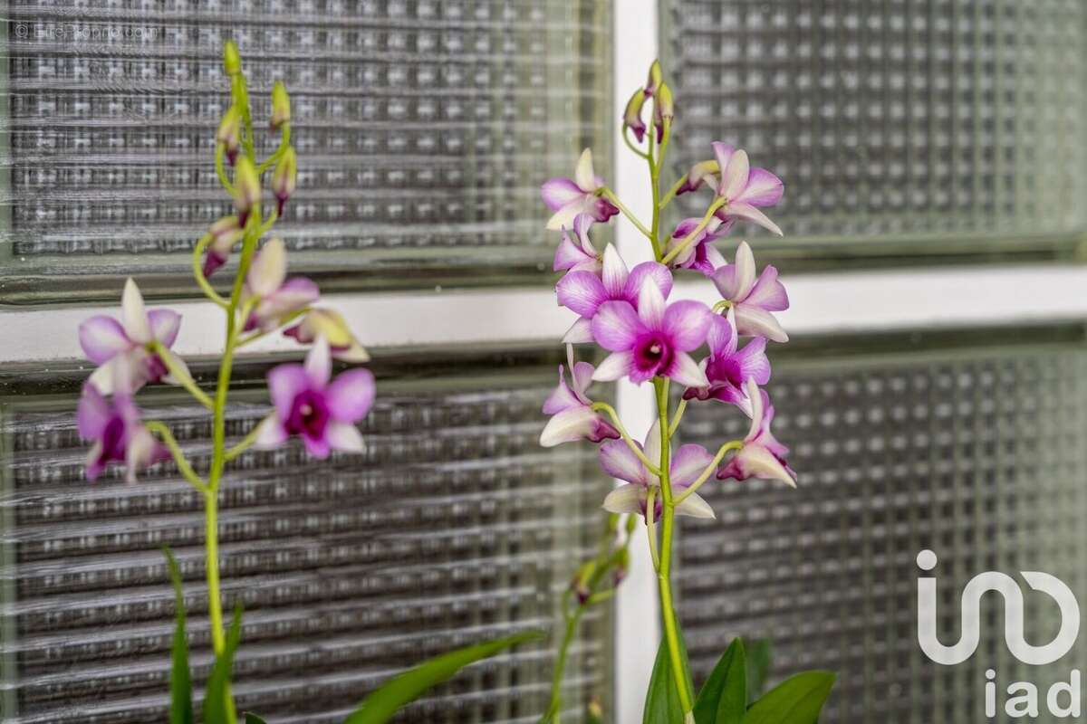 Photo 5 - Maison à EPINAY-SUR-ORGE