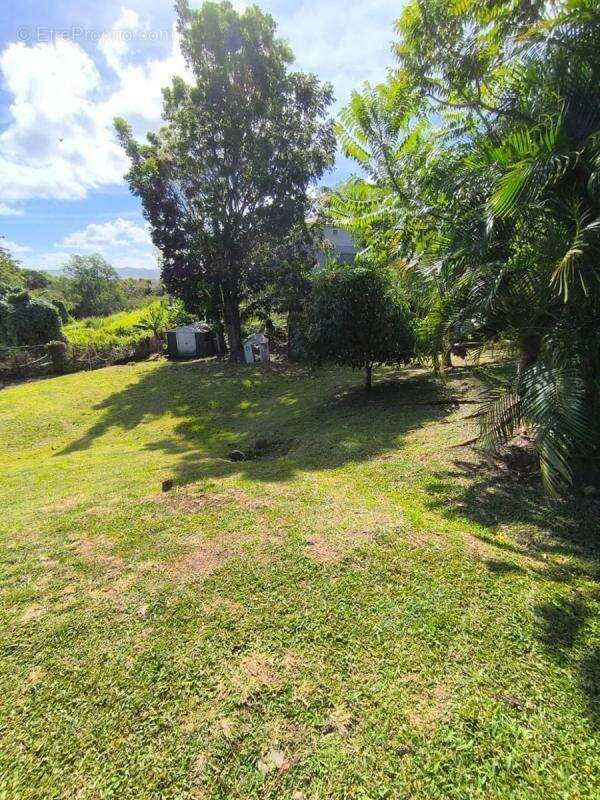 Maison à LES TROIS-ILETS