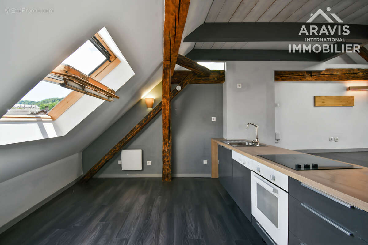 Appartement à SEYTHENEX