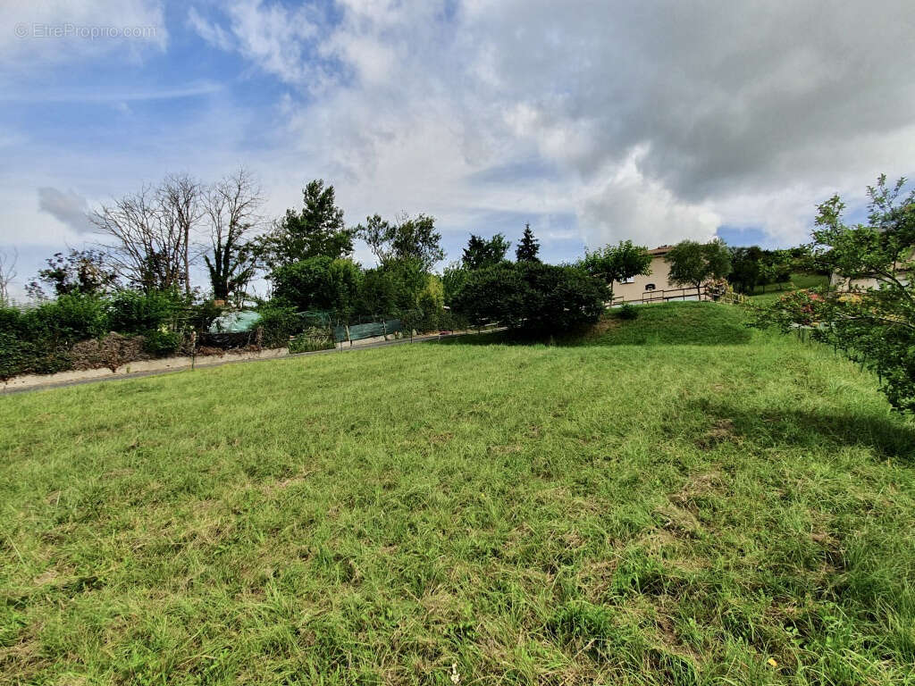 Terrain à LESCURE-D'ALBIGEOIS