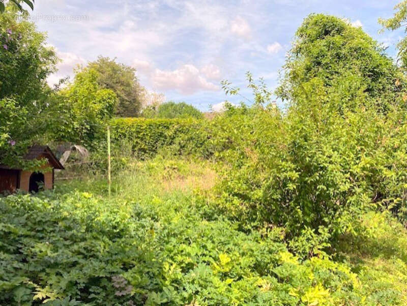 Maison 49 m² à Pont-Sur-Yonne  - photo 2