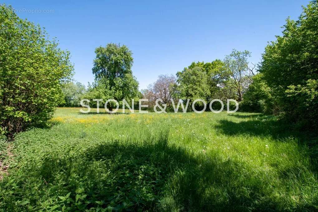 Terrain à ECHENEVEX