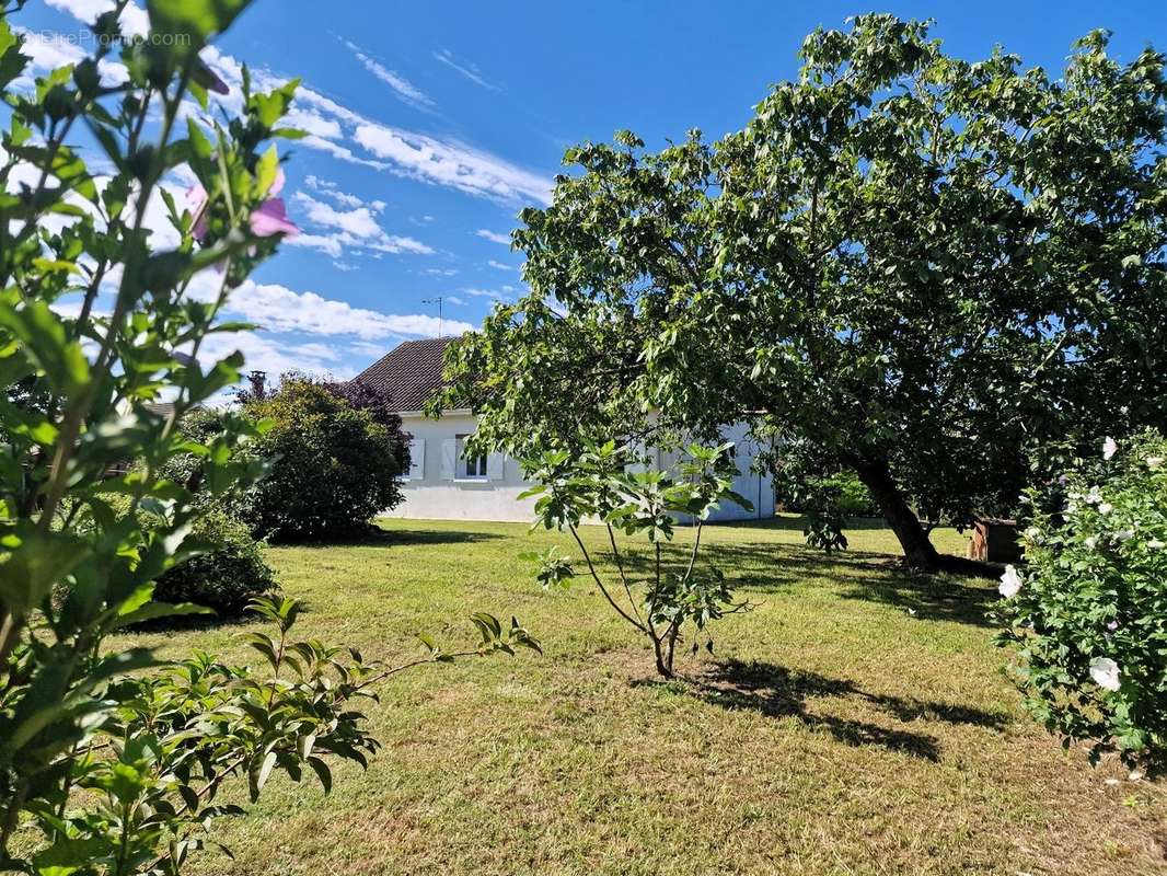 Maison à SALIES-DE-BEARN