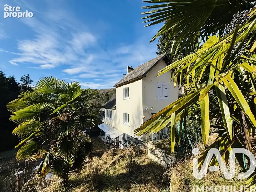 Photo 1 - Maison à SAINT-SAUVEUR-CAMPRIEU