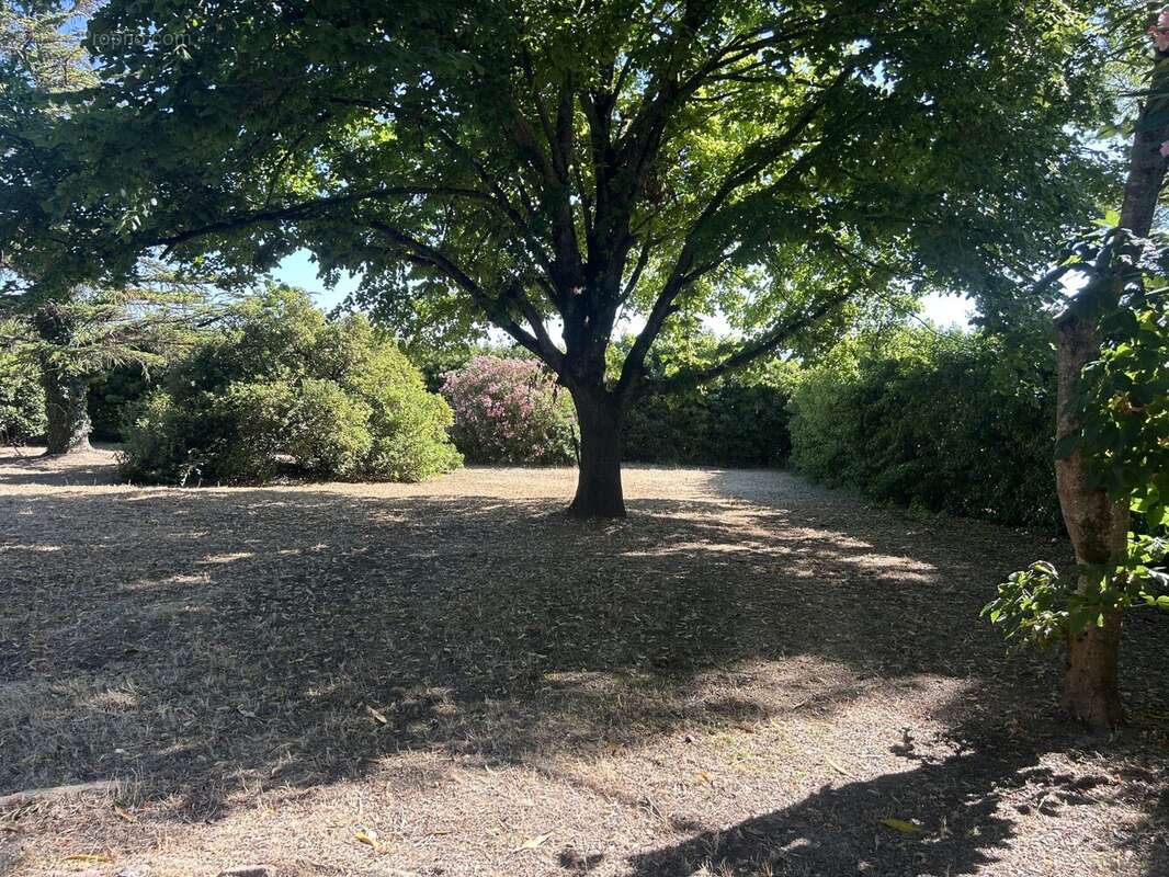 Terrain à MAS-SAINTES-PUELLES